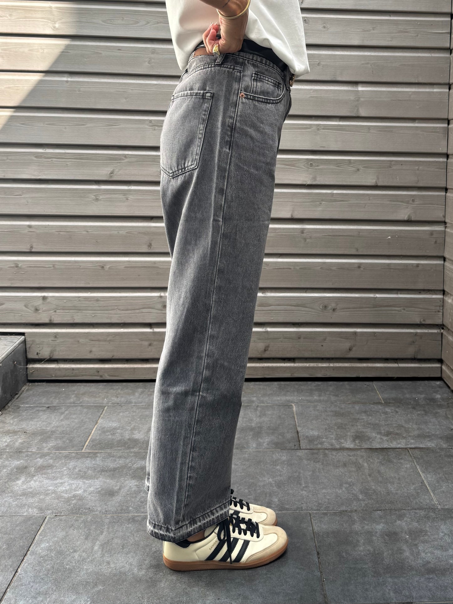 Jean WILL gris
