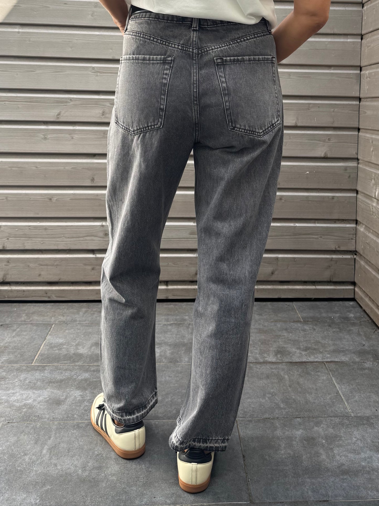 Jean WILL gris